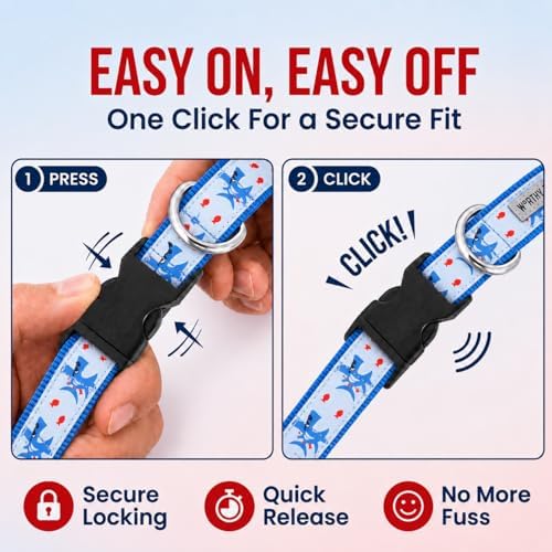 THE WORTHY DOG Summer Print, Adjustable Dog Collar,Medium Dogs, Sharkuterie