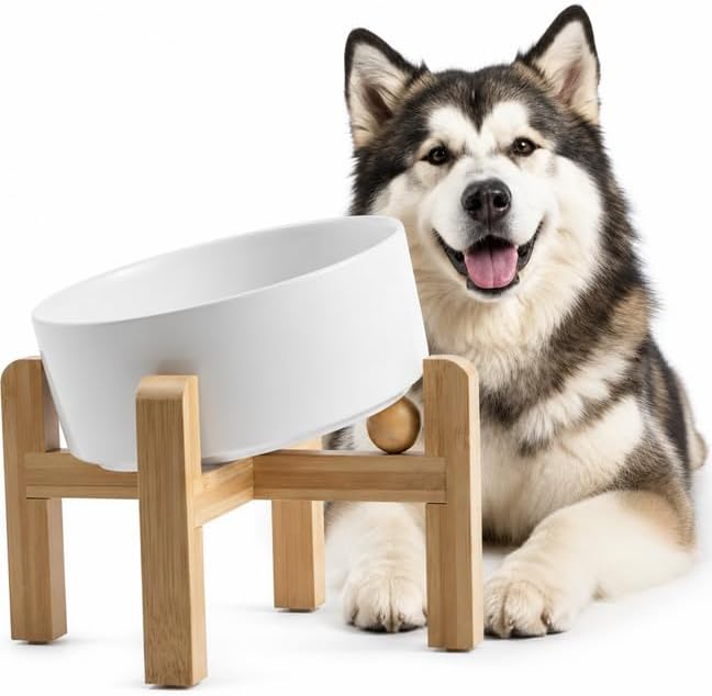 hjn Elevated Ceramic Dog Bowl 15°Slanted Raised Dog Bowl with Bamboo Stand for Small Medium Dogs and Cats, Pet Feeder -7.6-Cup (1800ml)-White