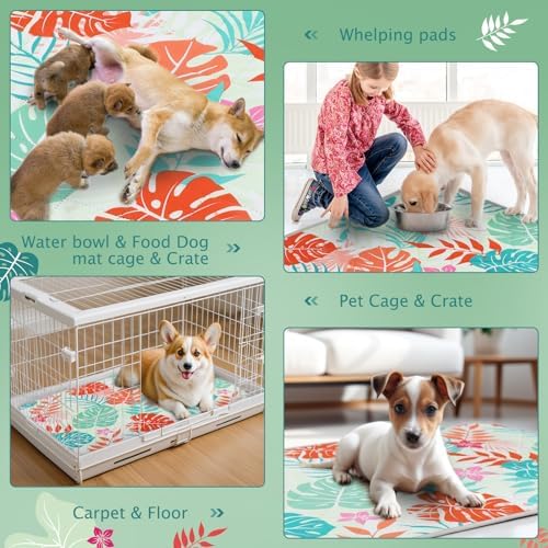 BVAGSS Washable Pee Pads for Dogs, 2 Pack Reusable Leakproof Puppy Wee Wee Pad, Non-Slip Waterproof Pet Training Pads, Super Absorbent Whelping Pads XH081 (Green Palm Leaves, 36X36 Inch (Pack of 2))