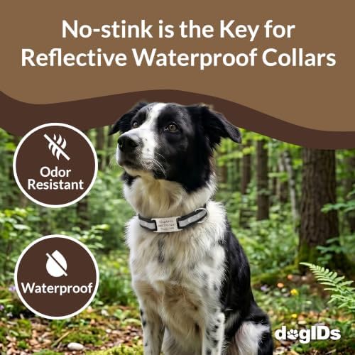 dogIDs Personalized Reflective Waterproof ScruffTag Dog Collar - Custom, Soft Grip, Safe Adjustable, Odor Resistant - Pink, 1 in x 20 in (Fits Neck Sizes: 18-22 in)