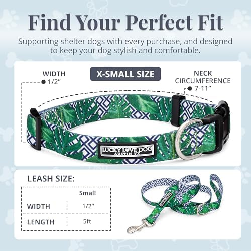 Lucky Love Dog Collar and Leash Set Matching Cute – Blue Laguna, X-Small