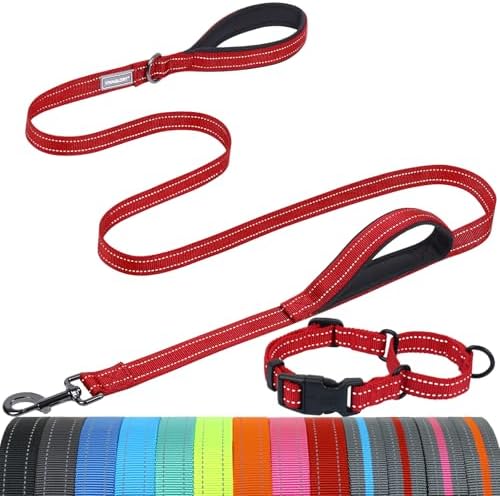 VIVAGLORY Double Handle Dog Leash Twingrip, 5ft x 1in, S, Red