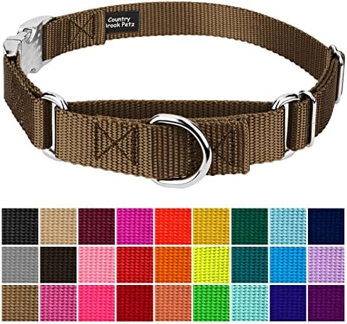 Country Brook Petz - Martingale Dog Collar - Heavy Duty Nylon Adjustable Martingale Dog Collar with Metal Buckle for Small Medium Large Breeds - 30+ Color Options (3/4 Inch, Small, Coyote Tan)
