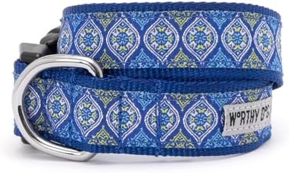 THE WORTHY DOG Summer Print, Adjustable Dog Collar,Medium Dogs, Medallion