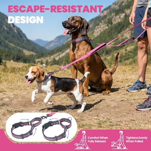 VIVAGLORY Double Handle Dog Leash Twingrip, 5ft x 1in, L, Pink Grey