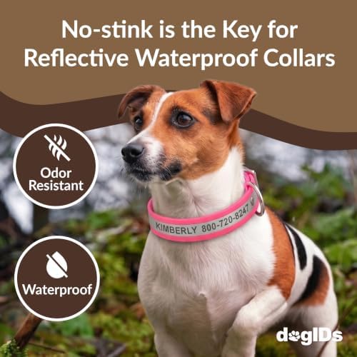 dogIDs Personalized Reflective Waterproof Dog Collar - Custom, Durable, Adjustable, Odor Resistant, Safe, Engraved - Pink, 1 in x 20 in (Fits Neck Sizes: 18-22 in)