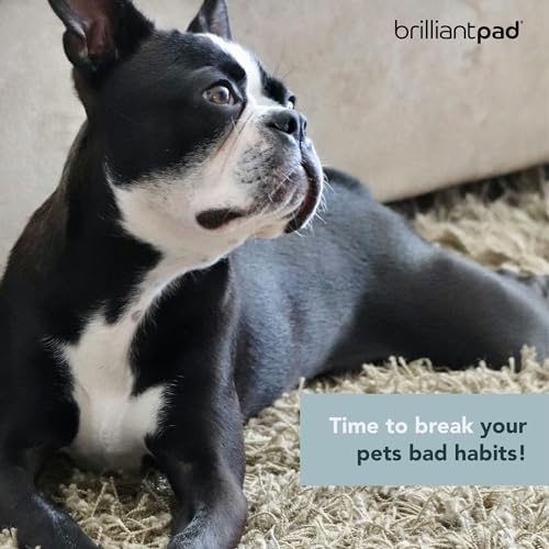 BrilliantPad No No! Bitter Chew Deterrent Spray for Dogs & Puppies (4oz)