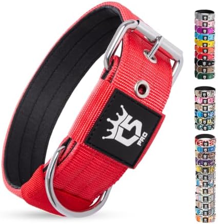 TSPRO Heavy Duty Thick Dog Collar with Metal Buckle for Small Dogs