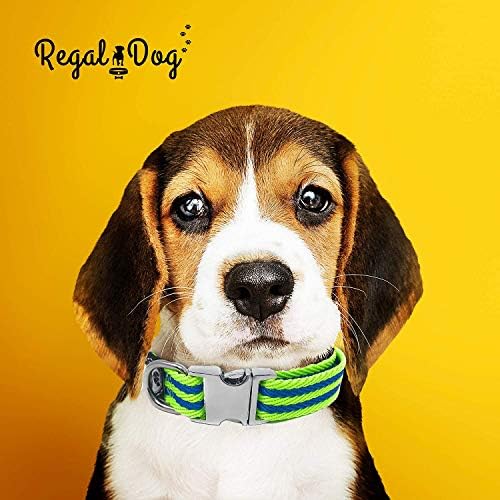 Regal Dog Products Twill Dog Collar, Large Lime Green/Blue Stripe