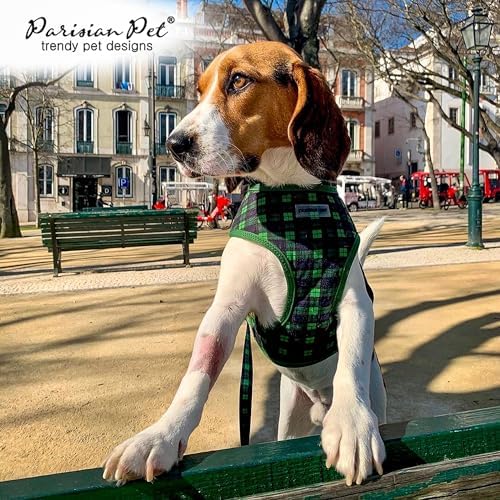Parisian Pet Plaid Dog Leash - Nylon Heavy Duty Training Leashes for Dogs with Comfortable Handle - Strong Metal Clip 4Ft Scottish Green Puppy Leash - Chew Proof Leashes for Small and Medium Dogs