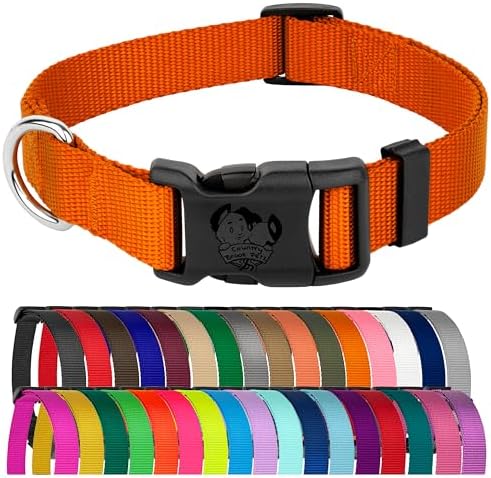 Country Brook Petz - Everyday Nylon Dog Collar for Large, Medium, and Small Dogs and Puppies - for Everyday Use in 30+ Colors (Large, 1 Inch Wide, Orange)