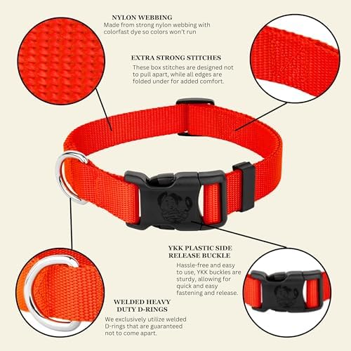Country Brook Petz - Everyday Nylon Dog Collar for Large, Medium, and Small Dogs and Puppies - for Everyday Use in 30+ Colors (Extra Small, 3/8 Inch Wide, Neon Orange)