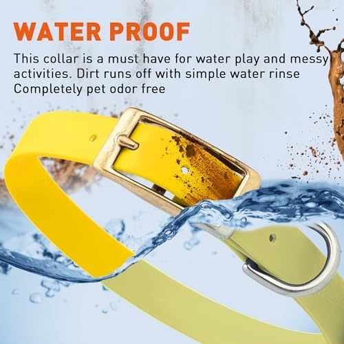 Viper Biothane Heavy Duty Waterproof Dog Collar Strong Coated Nylon Webbing w/Solid Brass Hardware Odor-Proof for Easy Care to Clean High Performance Fits Small Medium or Large Dogs, Lemon Yellow