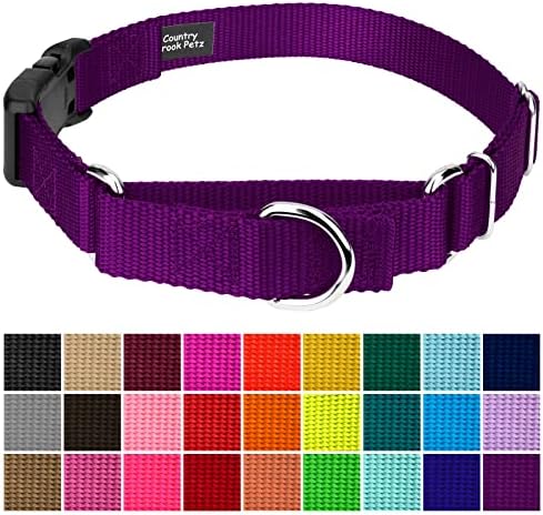 Martingale Dog Collar - Heavy Duty Nylon Adjustable Martingale Dog Collar with Plastic Buckle for Small Medium Large Breeds - 30+ Colors (3/4 Inch, Small, Purple)