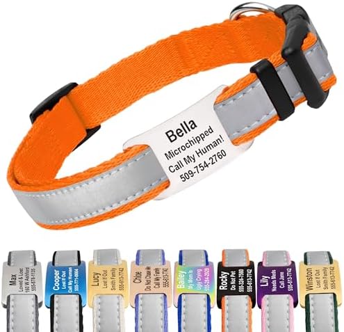 GoTags Reflective Dog Collar with Personalized Nameplate, Collar Tag Combo