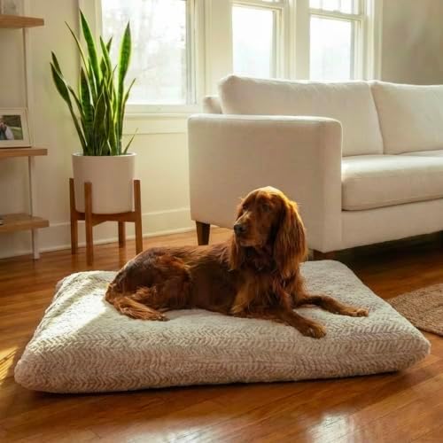 Best Friends by Sheri Comfy Crate Dog Bed Washable, Oyster, 42" x 28"