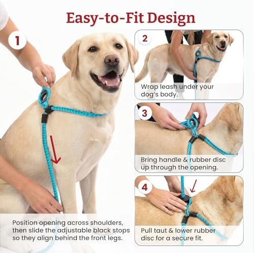 Harness Lead No Pull Dog Harness and Leash Set, Anti Pull Dog Harness, One-Piece Cushioned Rope Safely Prevents Escaping and Pulling (Small/Medium, Reef)