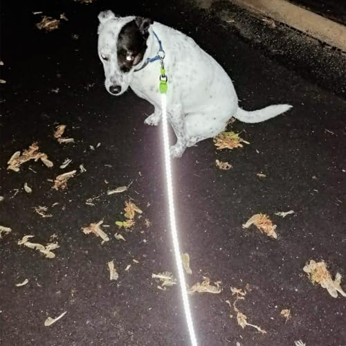 Reflective Dog Leash 2/3/4/6/10ft Braided 1/2" Strong Nylon Rope