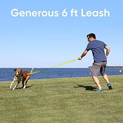 Pawtitas Camo Grey Dog Leash 6 ft XS/S Reflective Durable Lightweight Dog Lead for Small Dogs and Puppies
