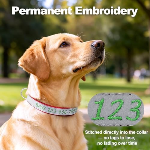 Personalized Dog Collar, Custom Embroidered Name & Phone Number