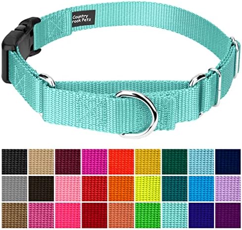 Martingale Dog Collar - Heavy Duty Nylon Adjustable Martingale Dog Collar with Plastic Buckle for Small Medium Large Breeds - 30+ Colors (1 Inch, Extra Large, Light Cyan)