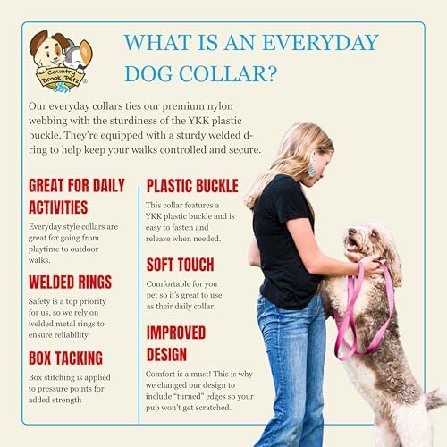 Country Brook Petz - Everyday Nylon Dog Collar for Large, Medium, and Small Dogs and Puppies - for Everyday Use in 30+ Colors (Small, 3/4 Inch Wide, Rose)