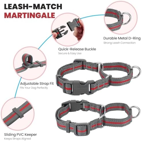 VIVAGLORY Double Handle Dog Leash Twingrip, 5ft x 1in, L, Red Grey
