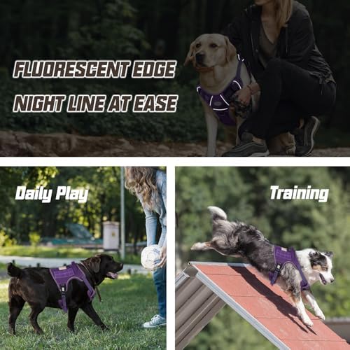 AUROTH Dog Harness for Large Dogs, No Pull Tactical Dog Vest with 2 Clips