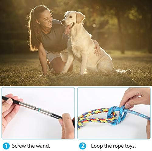 Flirt Pole for Dogs Interactive Chase Toy for Large Medium Small Puppy Dogs