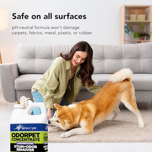 ATP OdorPet Concentrated Stain and Odor Remover, Lavender Scent, 64 Fl Oz