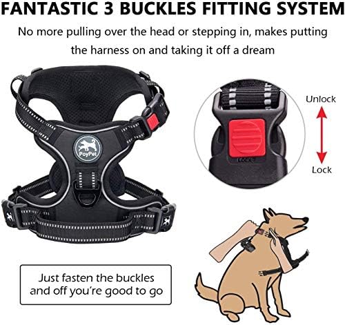 PoyPet Dog Harness and Leash Set, No Pull Vest with Front Clip and Handle