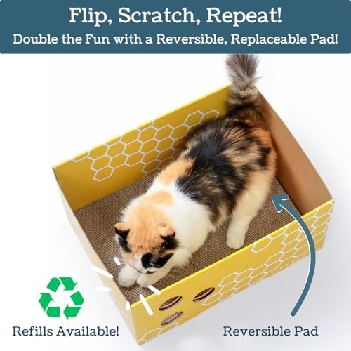 No-Mess Cardboard Cat Scratcher Box - Refillable Double-Sided Scratch Pad