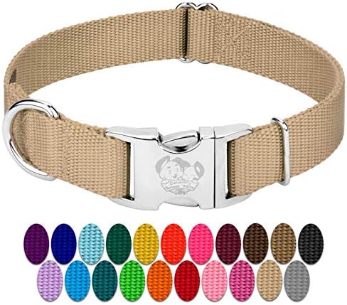 Country Brook Petz - Premium Nylon Dog Collar with Metal Buckle for Small Medium Large Breeds - 30+ Colors (Small, 3/4 Inch, Copper Gold)