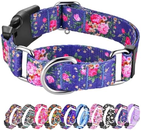 Hikiko Martingale Collar for Dogs with Special Pattern,Adjustable,L