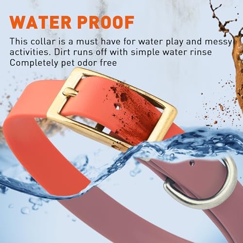 Viper Biothane Heavy Duty Waterproof Dog Collar Strong Coated Nylon Webbing w/Solid Brass Hardware Odor-Proof Easy to Clean High Performance Fits Small Medium or Large Dogs, Coral