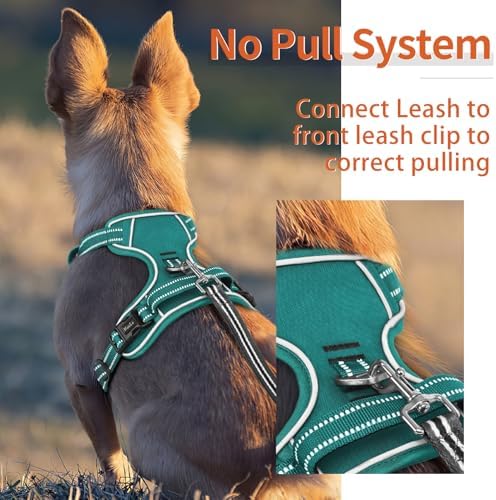 HEELE Dog Harness for Medium Dogs No Pull Dog Vest Harness with Soft Padded Handle Reflective for Outdoor Training, Grass Green, M