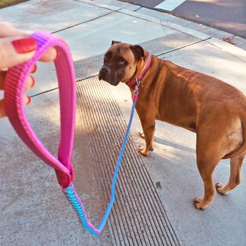 Reflective Dog Leash 2/3/4/6/10ft Braided 1/2" Strong Nylon Rope