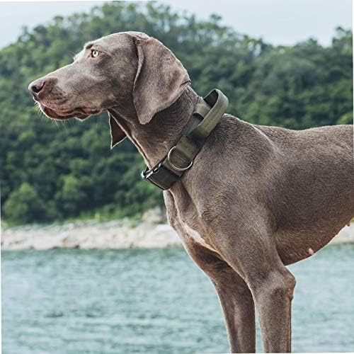OneTigris Heavy Duty Dog Collar for Large Dogs with Traffic Handle Green L
