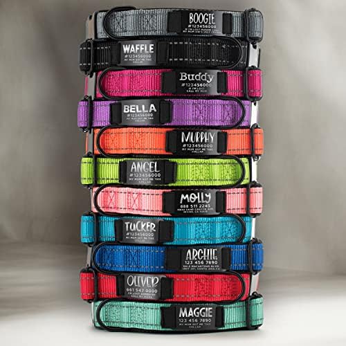 UPDATED - Personalized Dog Collars and Engraved Nameplate ID Tag, Reflective Nylon Dog Collar, Customizable in 11 Colors, 4 Adjustable Sizes, 16 Fonts, Dog Collar for Large, Small, Medium Dogs - Green