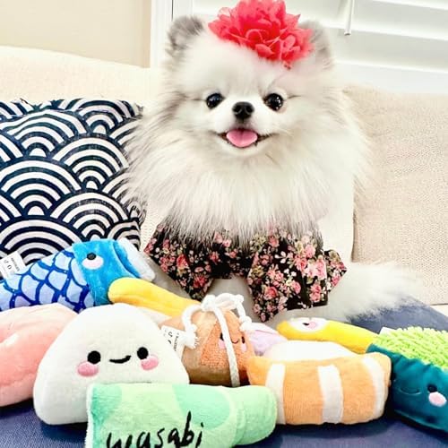 Nocciola 10 PC Sushi Squeaky Small Dog Toys, Cute Stuffed Puppy Toys with Bag, Plush Dog Squeaky Toy for Small Medium to Keep Them Busy