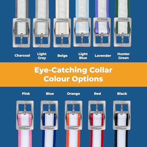 GoTags Embroidered Reflective Dog Collars with Metal Buckle, Personalized Dog Collar Custom Embroidered with Pet Name and Phone Number, Sizes for Puppy and Dogs Extra Small, to Medium and Large
