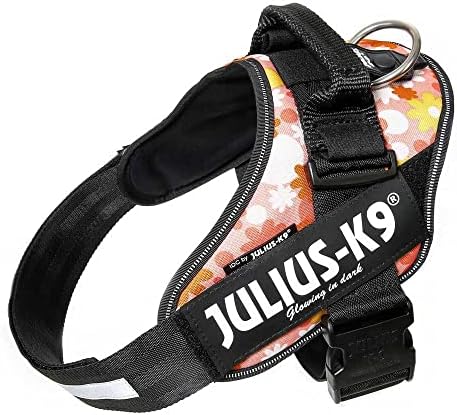 Julius-K9, 16IDC-PNF-2, IDC Powerharness, Dog Harness, Size: 2, Pink with Flowers