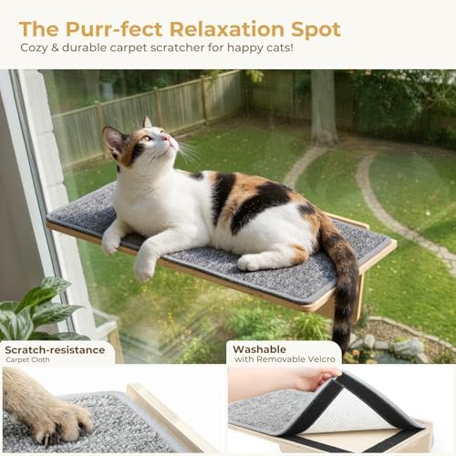 Pecute 2-in-1 Large Cat Window Perch & Wall Shelves, Solid Wood, 21"x11"