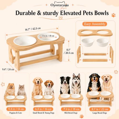 Bone Elevated 7.1" Ceramic Medium Dog Bowls, Tilted Dog Bowl Stand