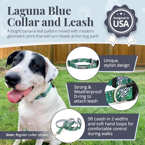 Lucky Love Dog Collar and Leash Set Matching Cute – Blue Laguna, X-Small