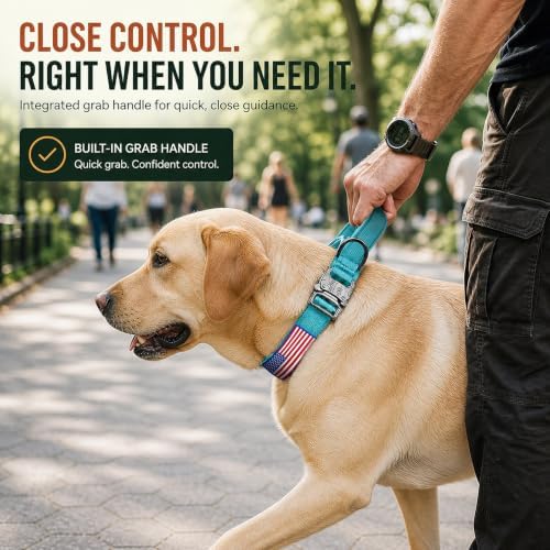 Tactical Dog Collar with Handle, Heavy Duty Nylon for Medium Dogs