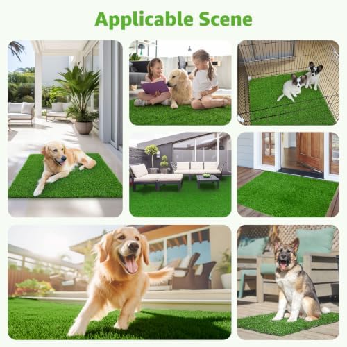 Artificial Dog Grass Pad 2 Pack，20"x 25" Replacement Fake Grass Turf Mat