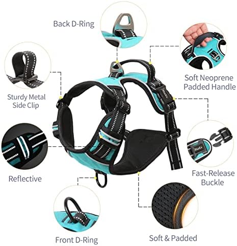 HEELE Dog Harness Dog Harness Small Dog No Pull Harness wiht Soft Handle Reflective Harness Adjustable, Turquoise, S