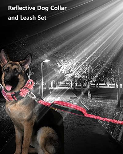 AUBELL Reflective Tactical Heavy Duty Dog Leash and Collar Set,Red L