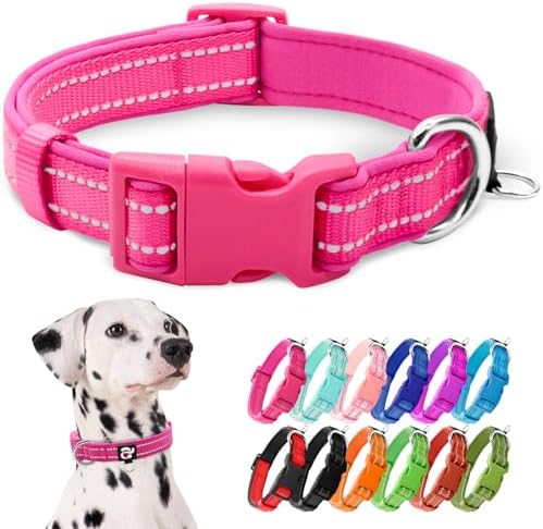 azuza Reflective Dog Collar, Neoprene Padded Large Dog Collar, Hot Pink, L